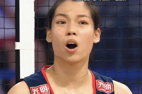 九游娱乐网站 -江南山猫队失利塞北雄鲨队，棒球超级杯上演关键失误成转折！技战术储备厚实的简单介绍