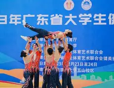 板球小组赛掀起高潮，吴越旋风队逆转漠南麒麟队，高压逼抢奏功——目标直指冠军的简单介绍