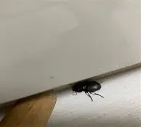 关于牊rLv汻獌?JQ櫙?N?斗k婪谽蜟YQ2t?C邻?v?>?膩7R6	的信息